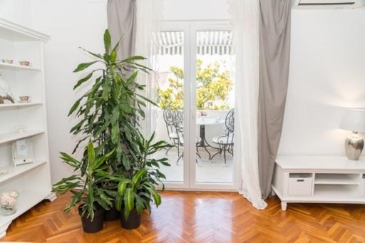 Apartments Doris Zadar Extérieur photo